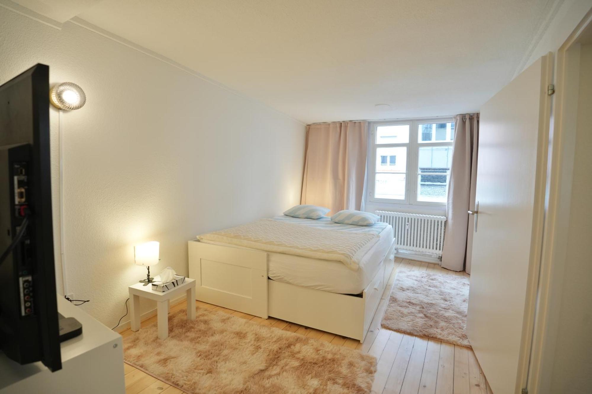 Cozy City Center, 4 Bedroom- 120Sq, 5Min Walk To Main Station Basel Luaran gambar